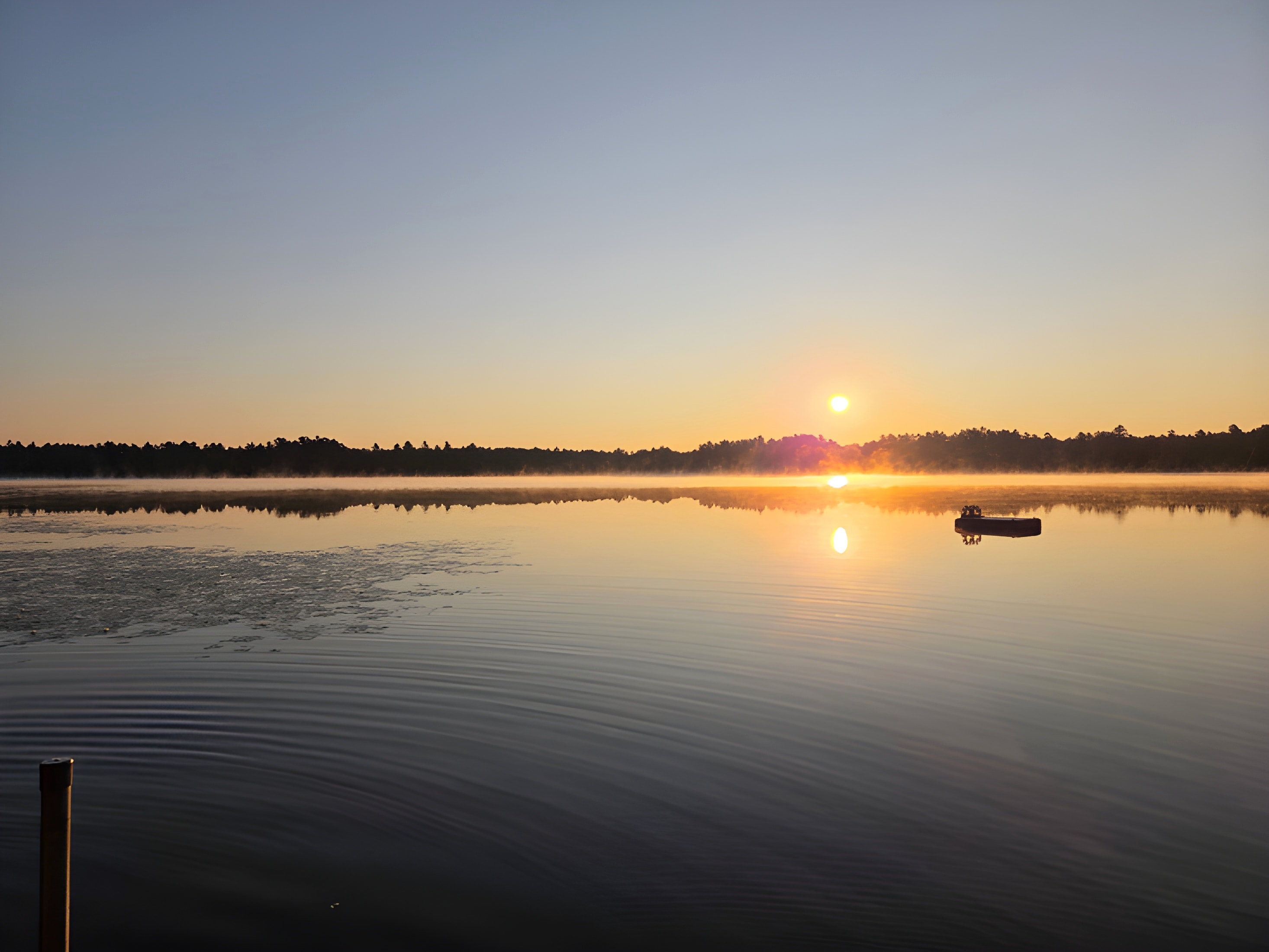 coverimage