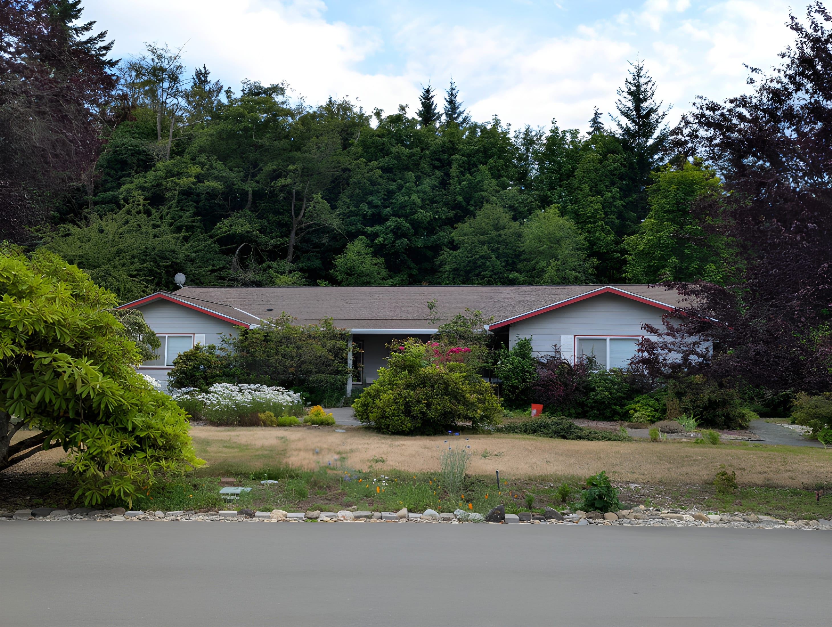 coverimage
